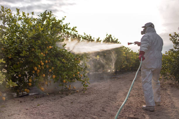 Best Commercial Pest Control Services  in USA